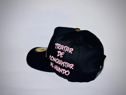 Gorra PINKY Y CEREBRO